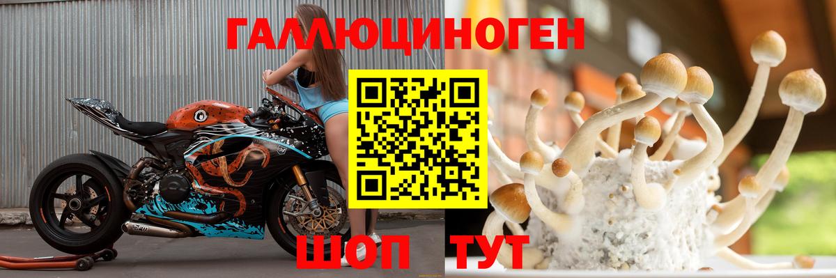 Галлюциногенные грибы мухоморы Шелехов
